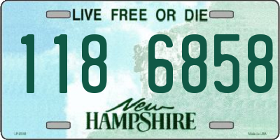 NH license plate 1186858