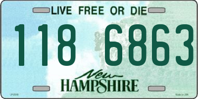 NH license plate 1186863