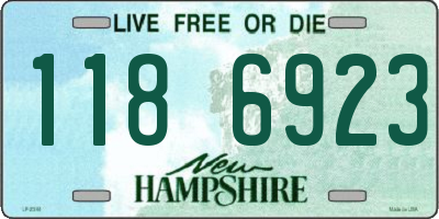 NH license plate 1186923