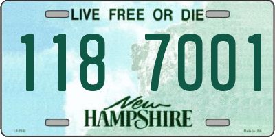 NH license plate 1187001