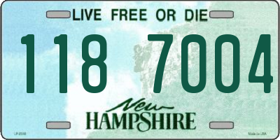 NH license plate 1187004