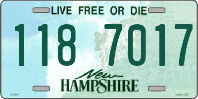 NH license plate 1187017