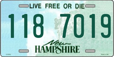 NH license plate 1187019