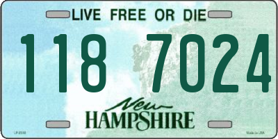 NH license plate 1187024
