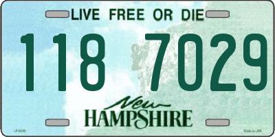 NH license plate 1187029