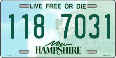 NH license plate 1187031