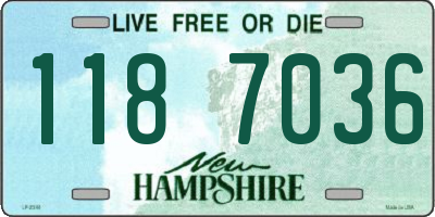 NH license plate 1187036
