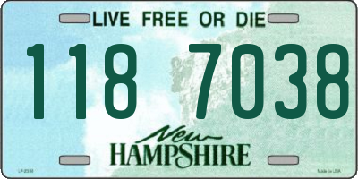 NH license plate 1187038