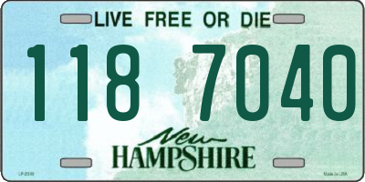 NH license plate 1187040