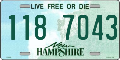NH license plate 1187043