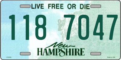 NH license plate 1187047