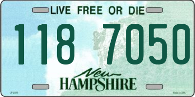 NH license plate 1187050