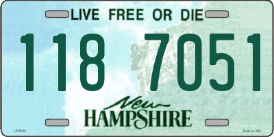 NH license plate 1187051
