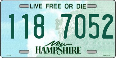 NH license plate 1187052