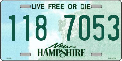 NH license plate 1187053