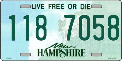 NH license plate 1187058