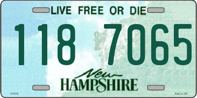 NH license plate 1187065