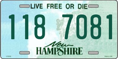 NH license plate 1187081