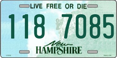 NH license plate 1187085