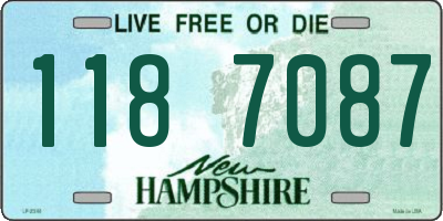 NH license plate 1187087