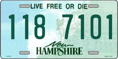 NH license plate 1187101