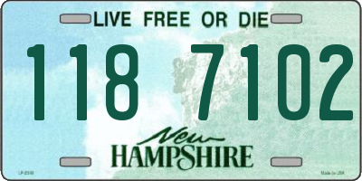 NH license plate 1187102