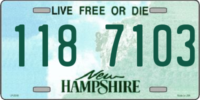 NH license plate 1187103