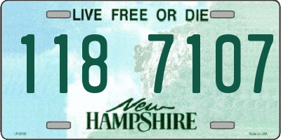 NH license plate 1187107