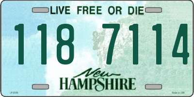 NH license plate 1187114