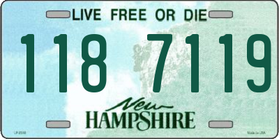 NH license plate 1187119