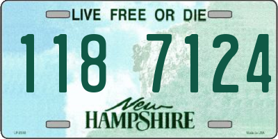 NH license plate 1187124