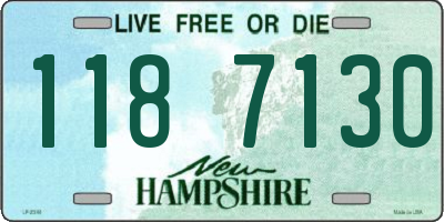 NH license plate 1187130