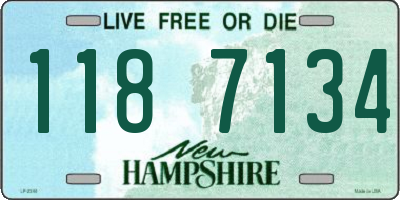 NH license plate 1187134
