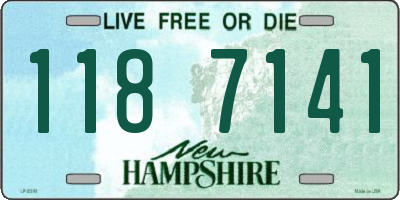 NH license plate 1187141