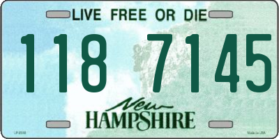 NH license plate 1187145