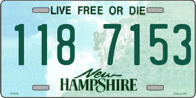 NH license plate 1187153