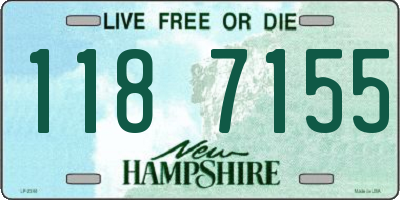 NH license plate 1187155