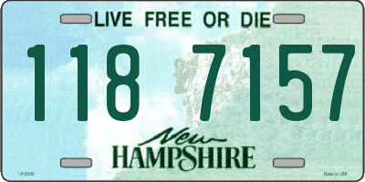 NH license plate 1187157