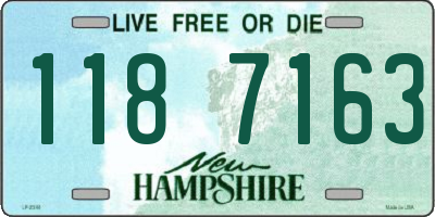 NH license plate 1187163
