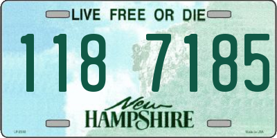NH license plate 1187185