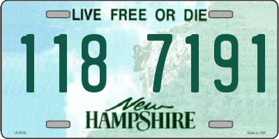 NH license plate 1187191