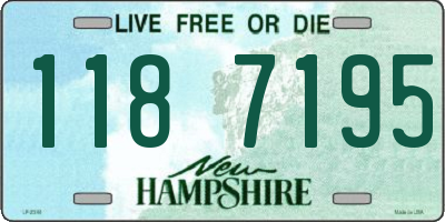 NH license plate 1187195