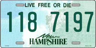 NH license plate 1187197
