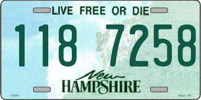 NH license plate 1187258