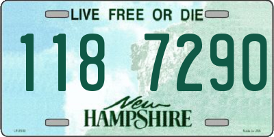 NH license plate 1187290