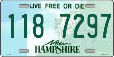 NH license plate 1187297