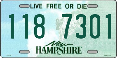 NH license plate 1187301
