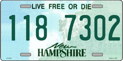 NH license plate 1187302