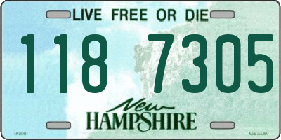 NH license plate 1187305