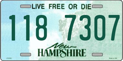 NH license plate 1187307